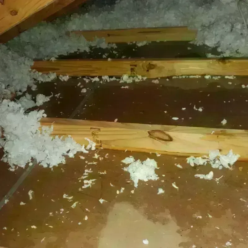 Attic Water Damage in Anderson, SC