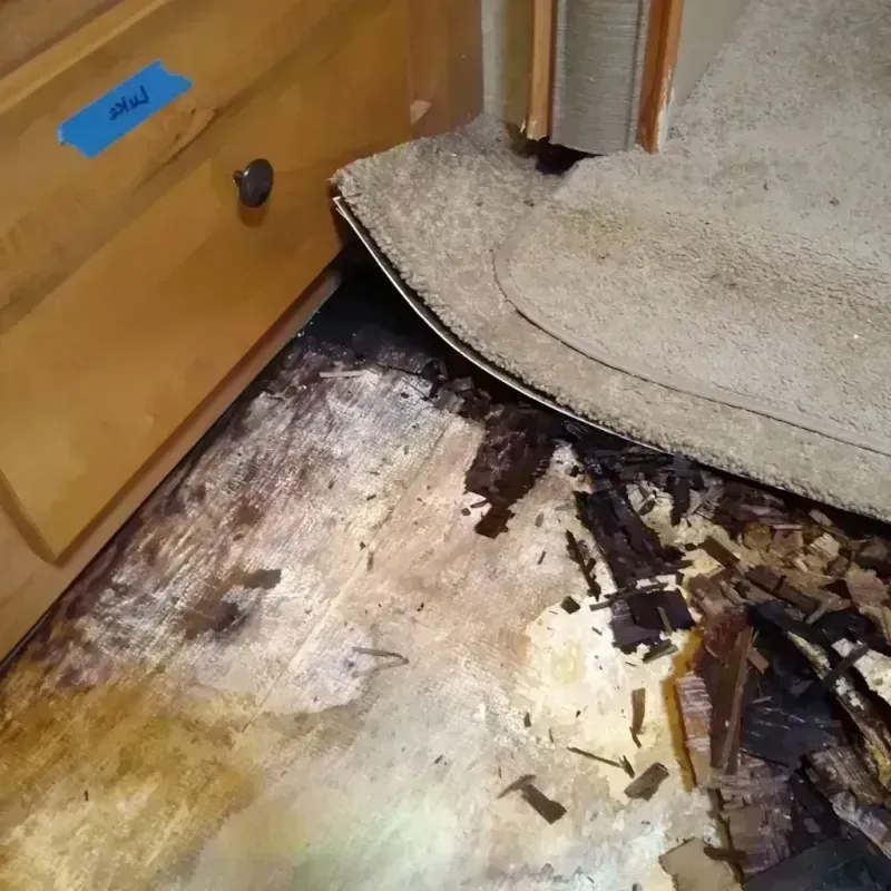 Wood Floor Water Damage in Anderson, SC